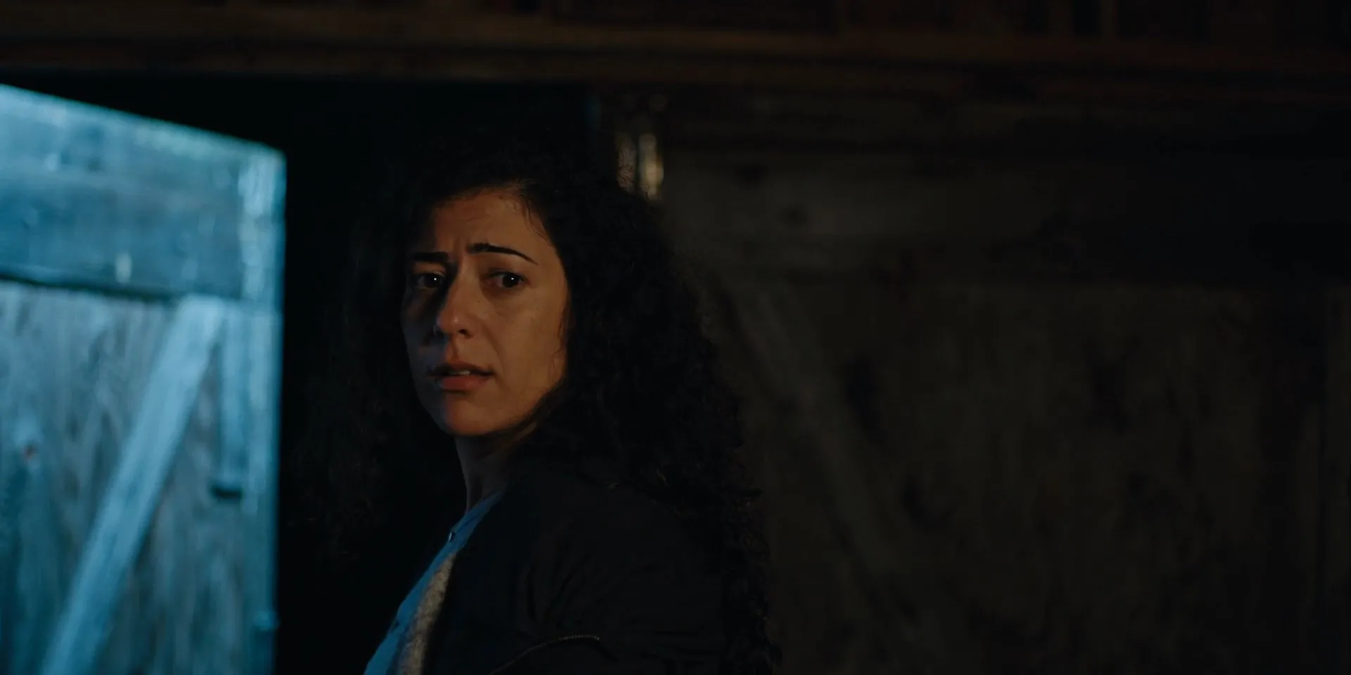 American Insurrection 2021 Hindi Dual Audio WEB-DL 1080p – 720p – 480p