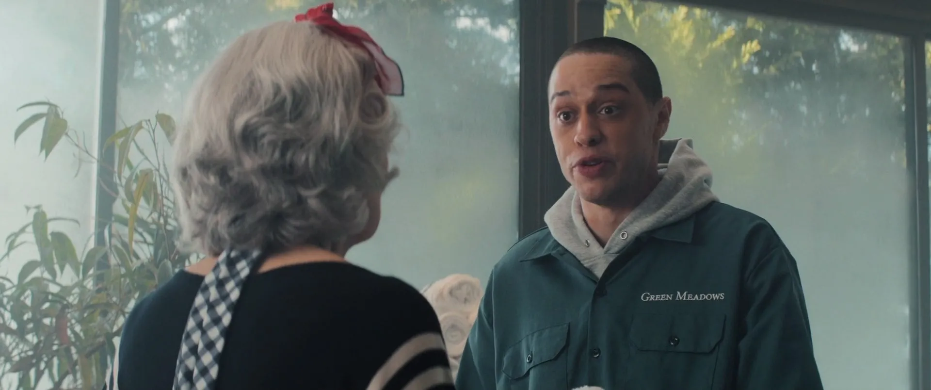 The Home 2025 Hindi Dual Audio WEB-DL 720p – 480p – 1080p