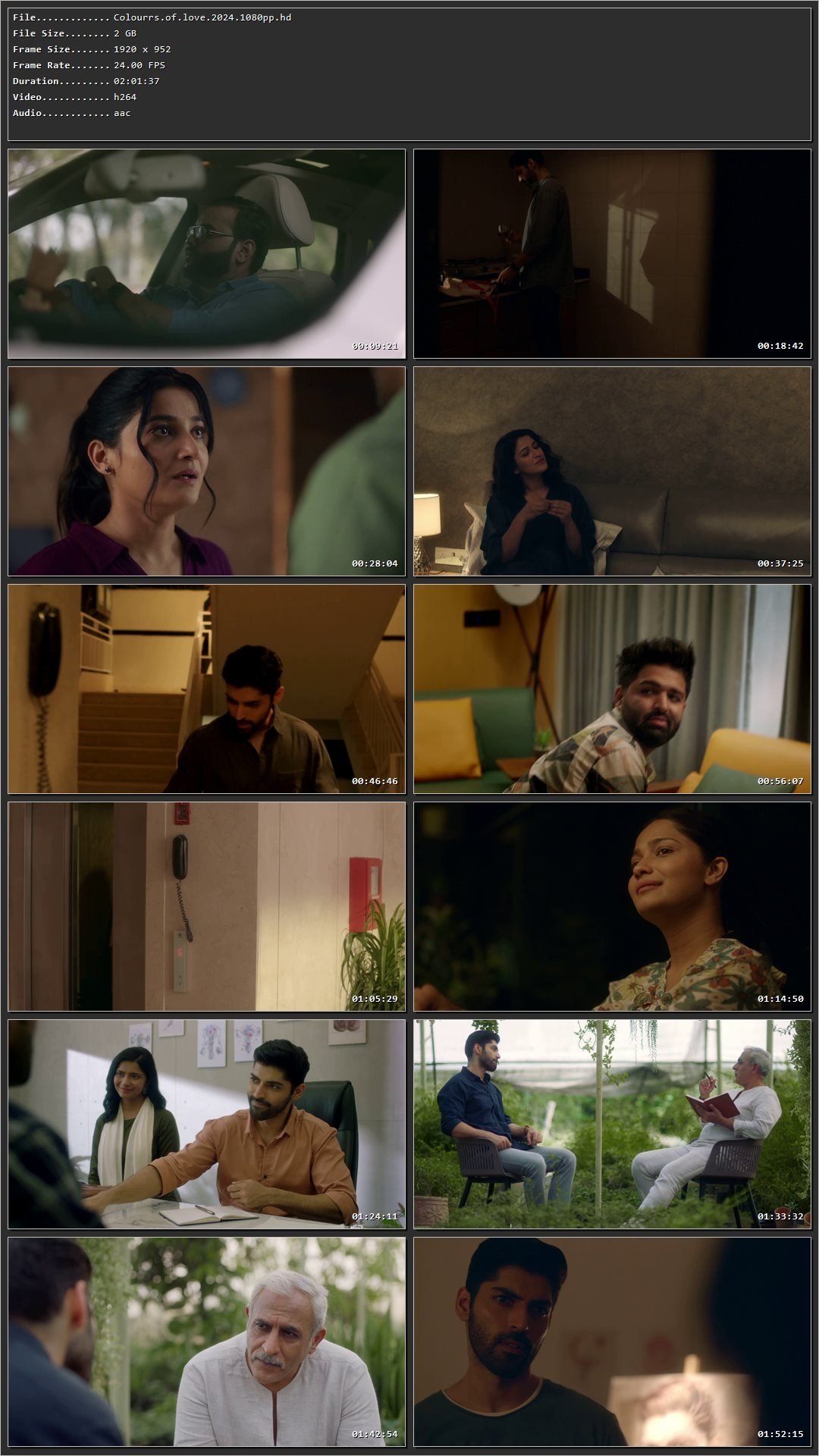 Colours of Love (2024) Hindi HDRip 720p – 480p – 1080p