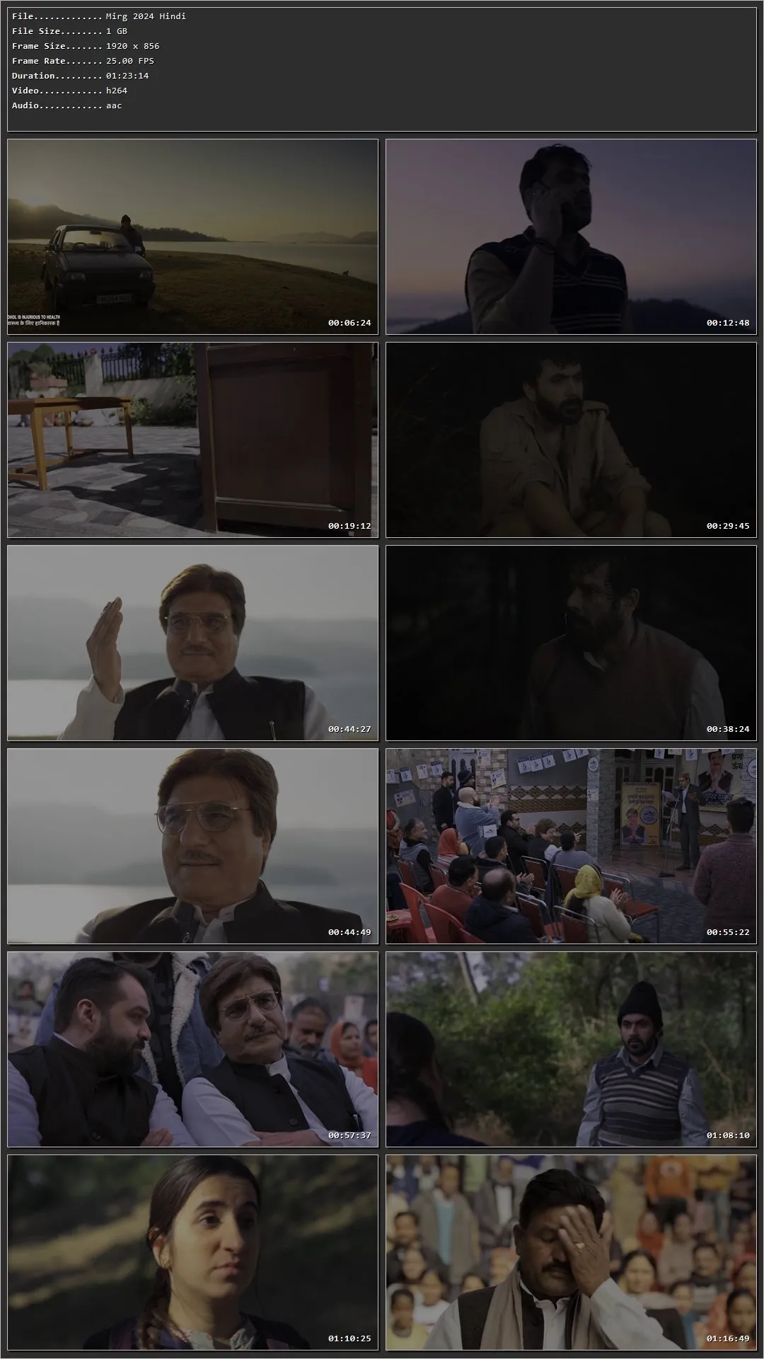 Mirg 2024 Hindi HDRip 720p – 480p – 1080p