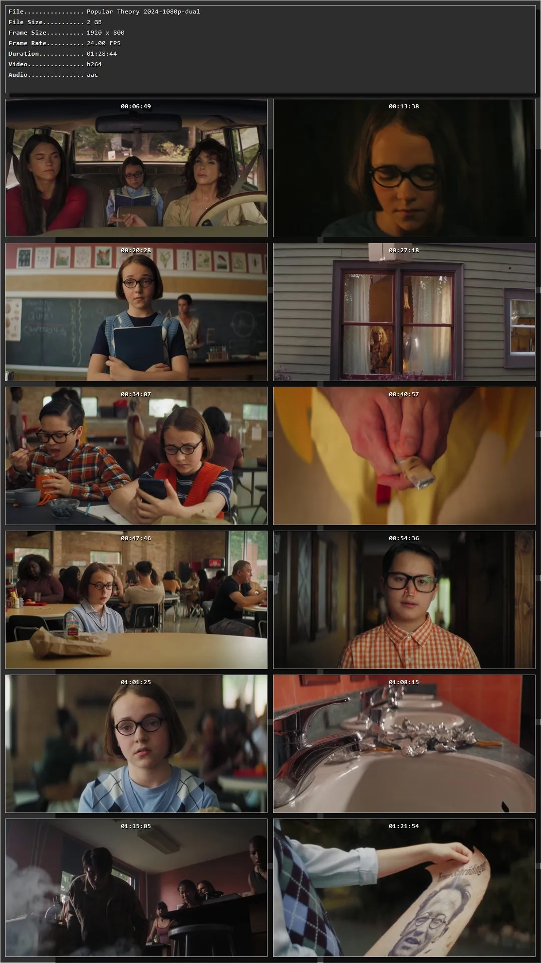 Popular Theory 2024 Hindi Dual Audio HDRip 1080p – 720p – 480p