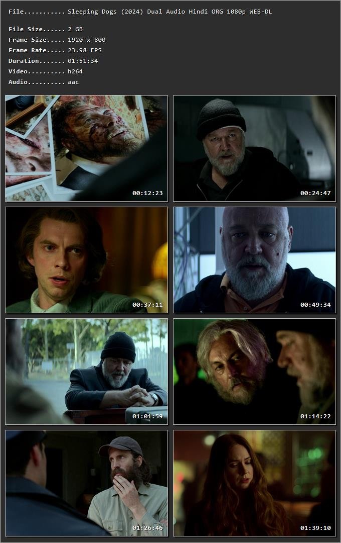 Sleeping Dogs (2024) Hindi Dual Audio HDRip 1080p – 720p – 480p