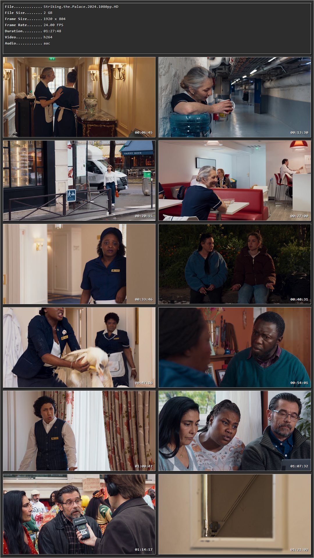 Striking the Palace (2024) Hindi Dual Audio HDRip 1080p – 720p – 480p