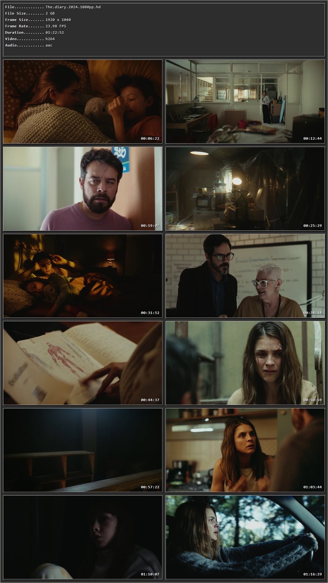 The Diary (2024) Hindi Dual Audio HDRip 1080p – 720p – 480p