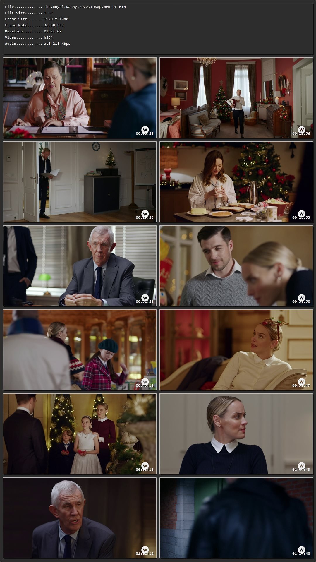 The Royal Nanny (2022) Hindi Dual Audio HDRip 1080p – 720p – 480p