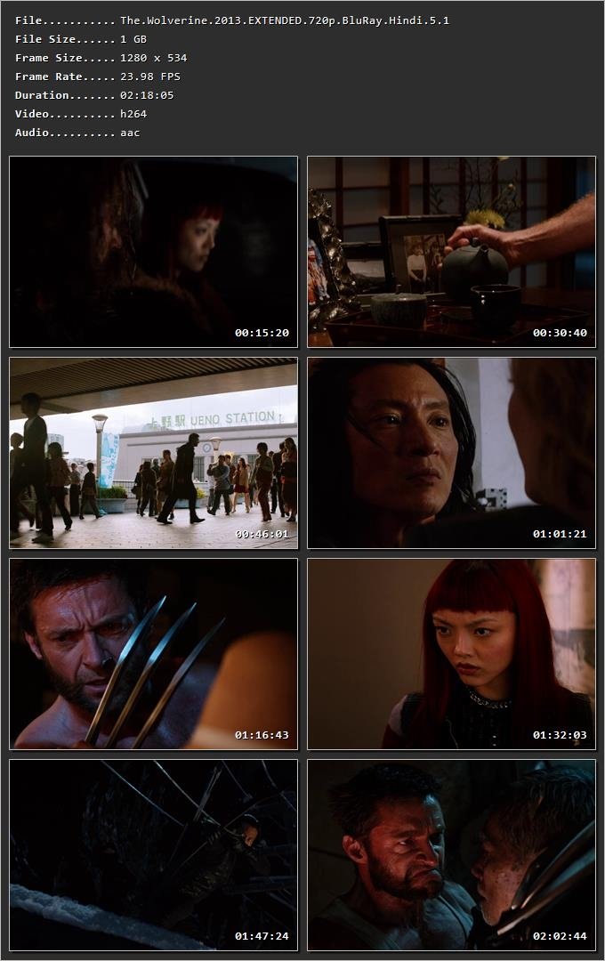 The Wolverine (2013) Hindi Dual Audio HDRip 1080p – 720p – 480p