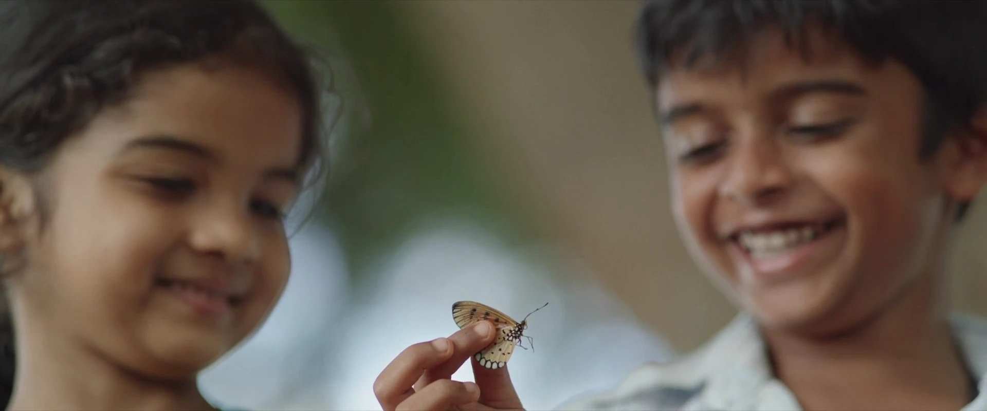 Sevappi 2024 Hindi Dual Audio WEB-DL 720p – 480p – 1080p