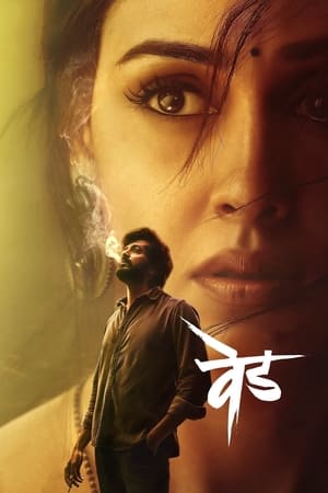 Kaithi (2019) (Hindi -Tamil) Dual Audio 720p UnCut HDRip [1.4GB]